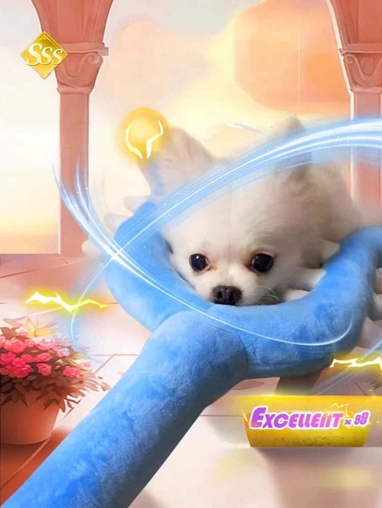 Cat Battle Wand Toy, Interactive Teaser Stick, Durable Bite & Scratch Resistant Play Wand,  Birthday/Christmas Gift for Pet Lover/Cats Owner